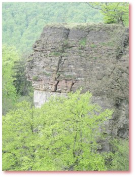 Hirschsprung Hohenstein