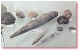 Exponate Schillat-Höhle