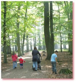 Weitläufiger Park