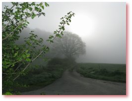 Sonnenaufgang-Westerberg