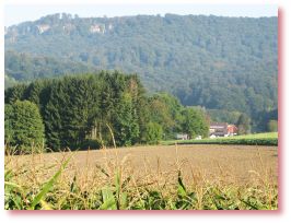 Blick vom Westerberg